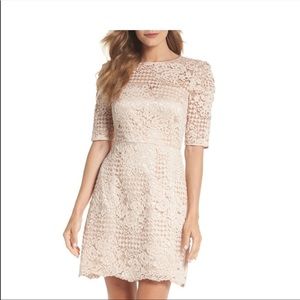 Beautiful and blush lace overlay dress